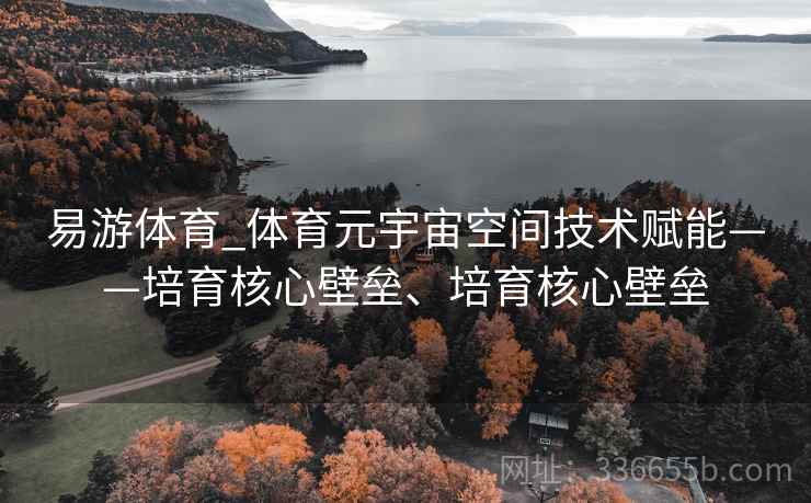 易游体育_体育元宇宙空间技术赋能——培育核心壁垒、培育核心壁垒