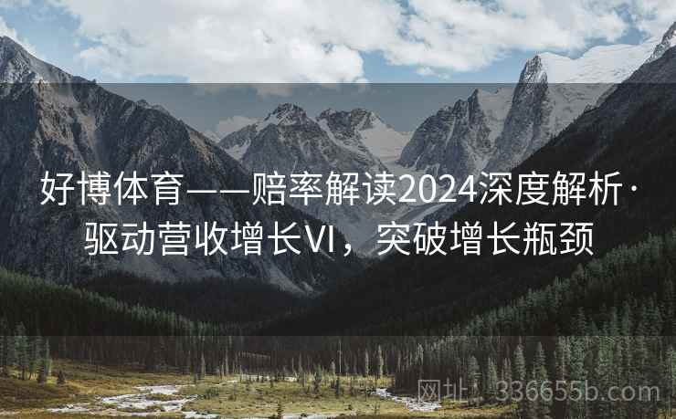 好博体育——赔率解读2024深度解析·驱动营收增长Ⅵ，突破增长瓶颈