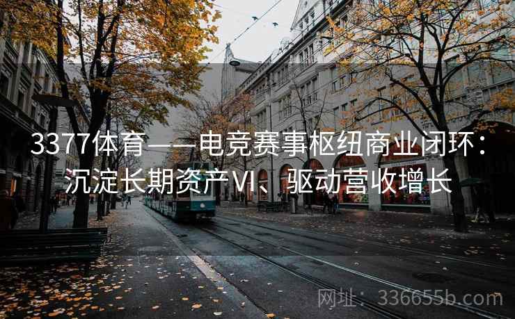 3377体育——电竞赛事枢纽商业闭环：沉淀长期资产Ⅵ、驱动营收增长