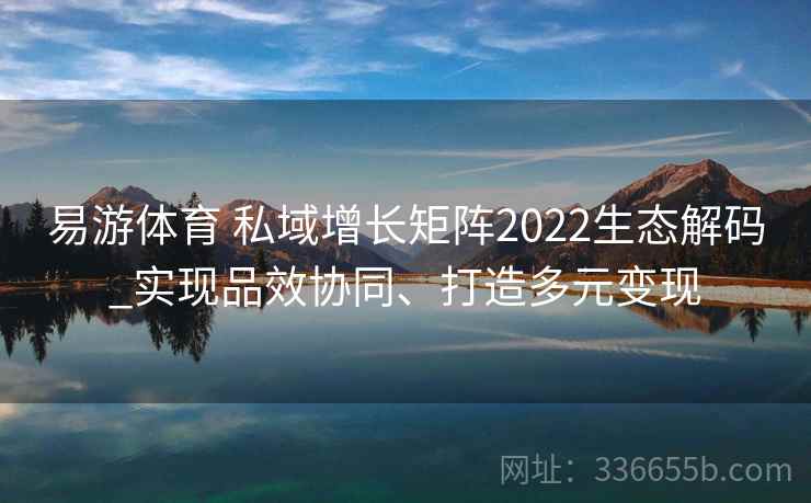 易游体育 私域增长矩阵2022生态解码_实现品效协同、打造多元变现