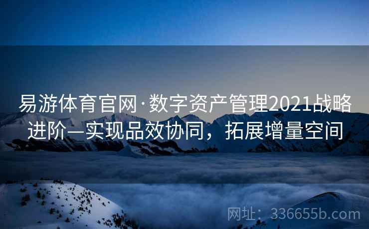 易游体育官网·数字资产管理2021战略进阶—实现品效协同，拓展增量空间