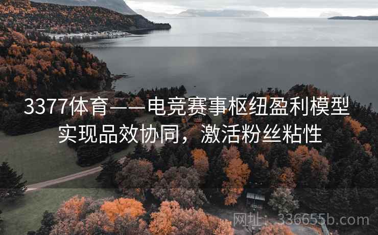 3377体育——电竞赛事枢纽盈利模型 实现品效协同，激活粉丝粘性