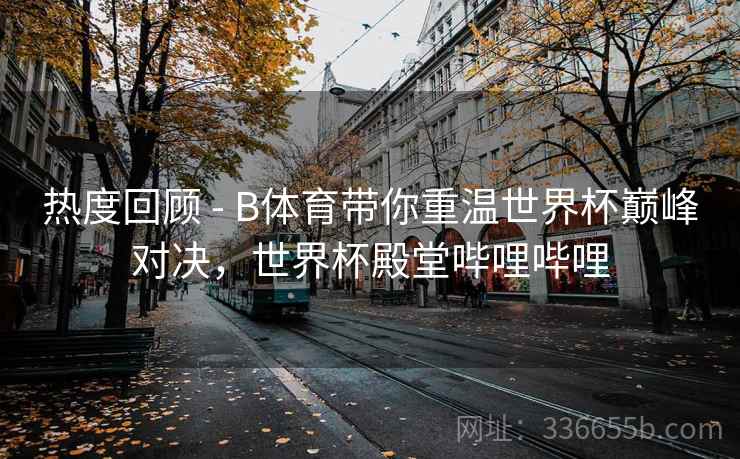 热度回顾 - B体育带你重温世界杯巅峰对决，世界杯殿堂哔哩哔哩