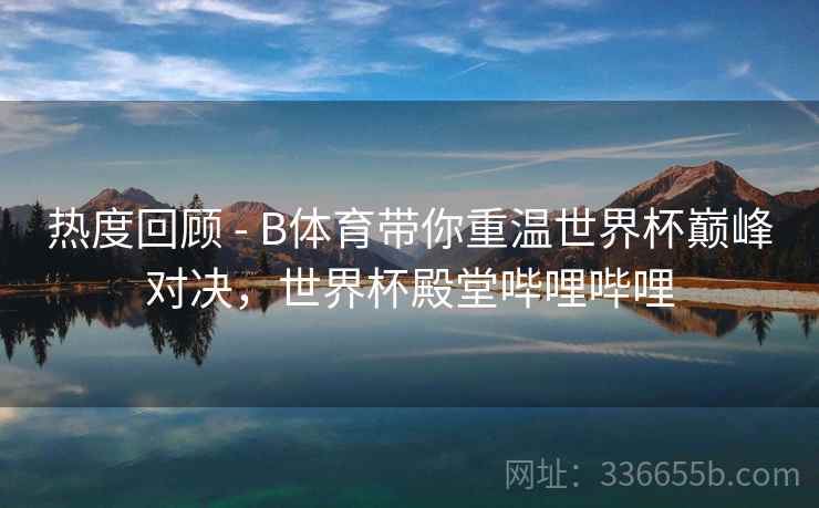 热度回顾 - B体育带你重温世界杯巅峰对决，世界杯殿堂哔哩哔哩