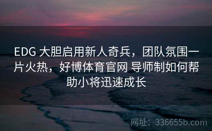 EDG 大胆启用新人奇兵，团队氛围一片火热，好博体育官网 导师制如何帮助小将迅速成长