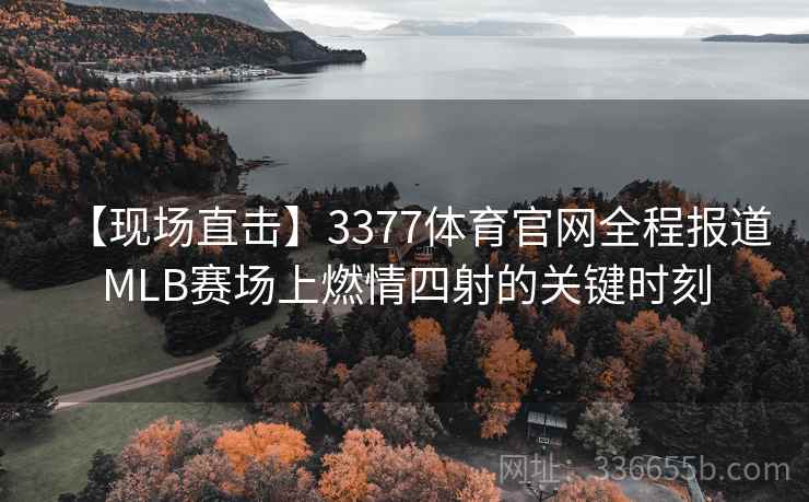 【现场直击】3377体育官网全程报道MLB赛场上燃情四射的关键时刻
